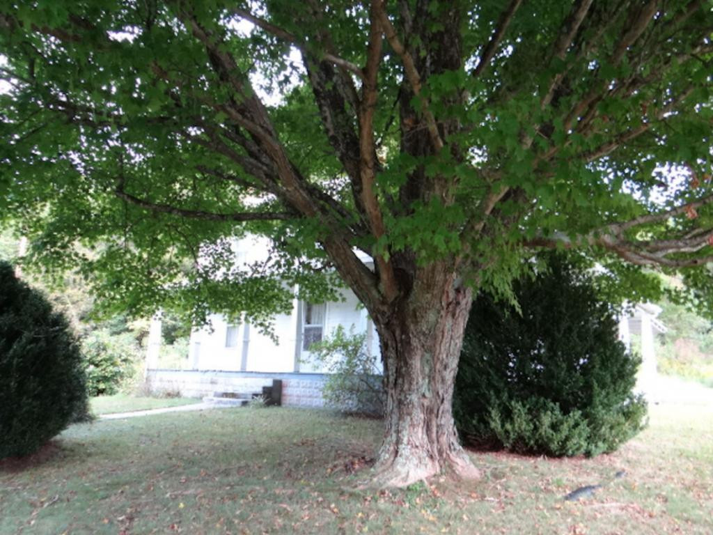 28536 Poor Valley Road Saltville, VA 24370 - Photo 16 of 16 Photo 16