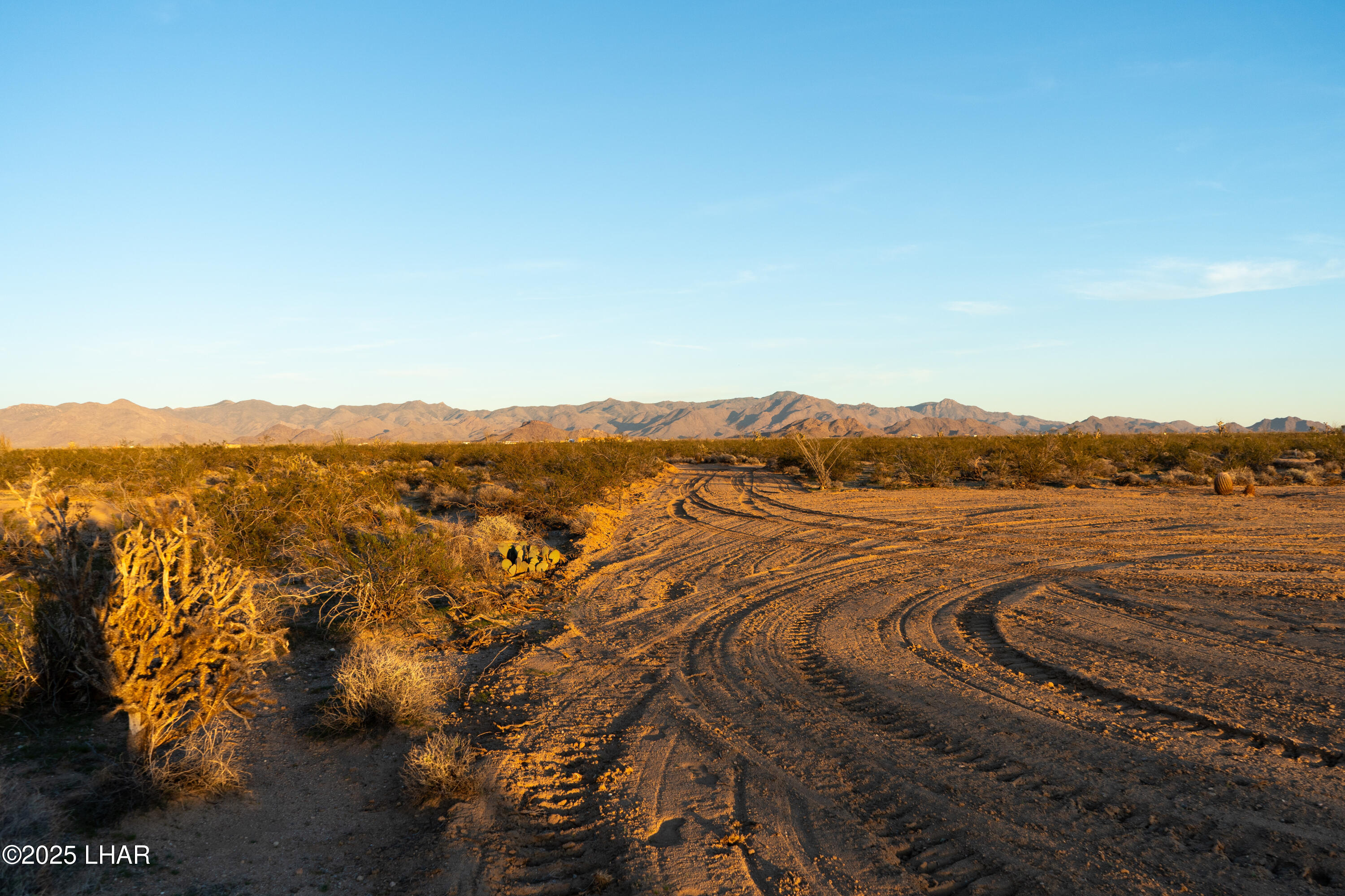 Lot 66 South Cameron Road Yucca, AZ 86438 - Photo 8 of 17 DSC02993