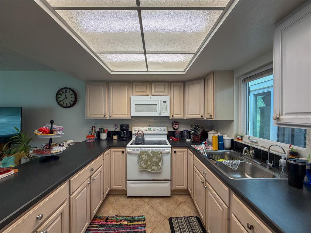 4610 Hidden River Road Sarasota, FL 34240 - Photo 80 of 96