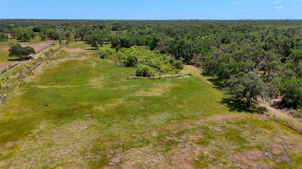 4610 Hidden River Road Sarasota, FL 34240 - Photo 94 of 96