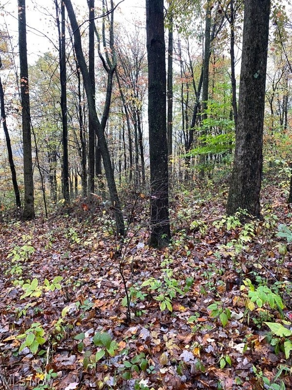 Zion Road Newcomerstown, OH 43832 - Photo 21 of 22 Gallery Image 21