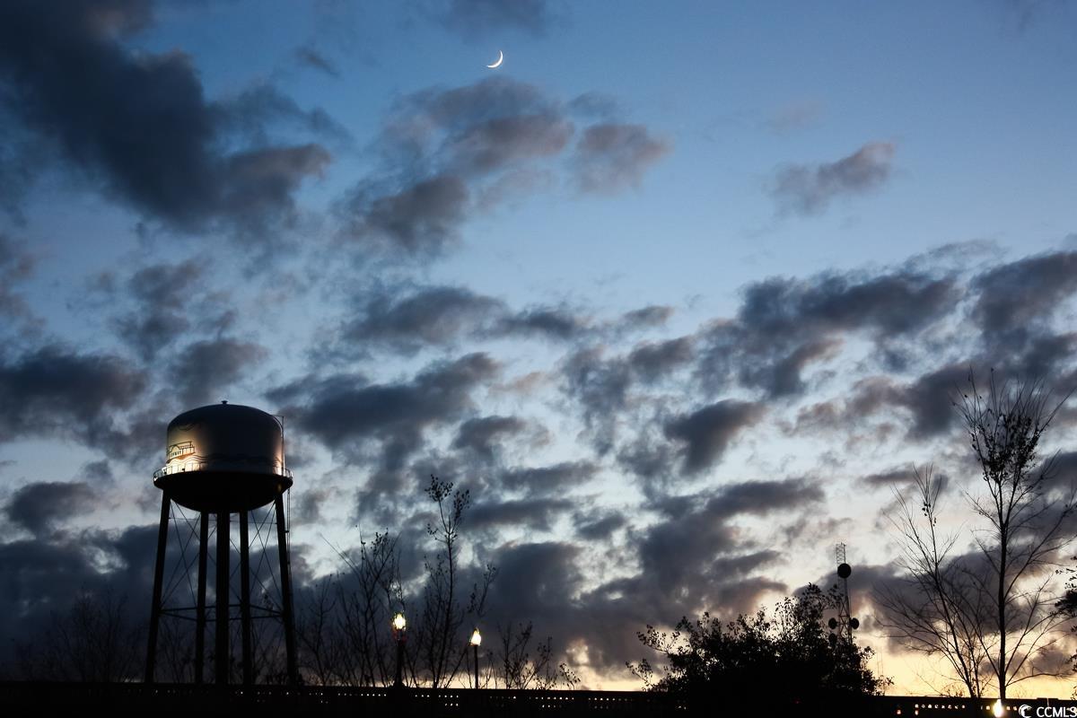 559 Courtridge Loop Conway, SC 29526 - Photo 37 of 37 View of home's community