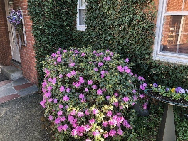 1313 South Branch Parkway Springfield, MA 01129 - Photo 3 of 42 Gallery Image 3