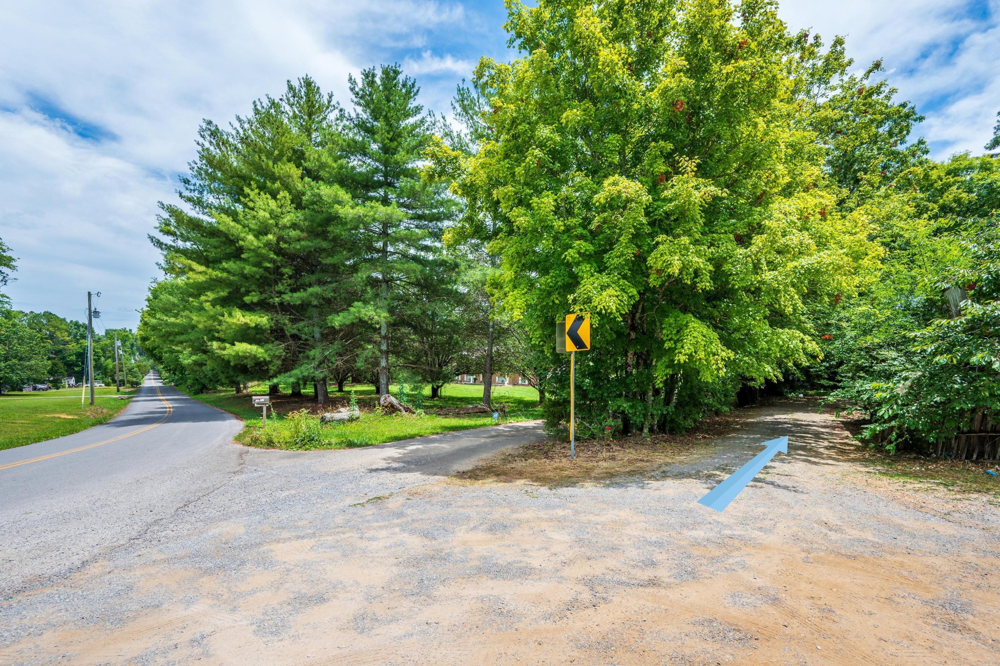 0 Trewhitt Road Southeast Cleveland, TN 37323 - Photo 4 of 16 a view of a road with plants and large trees