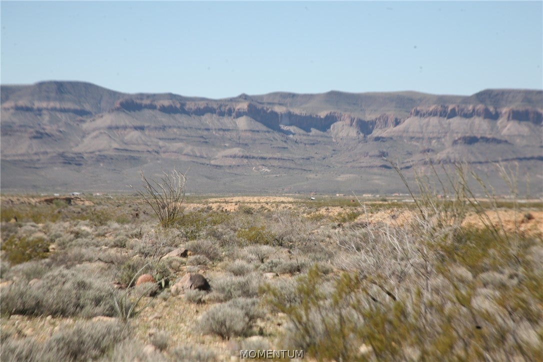 208-24-134 South Cameron Road Yucca, AZ 86438 - Photo 68 of 86 Gallery Image 68