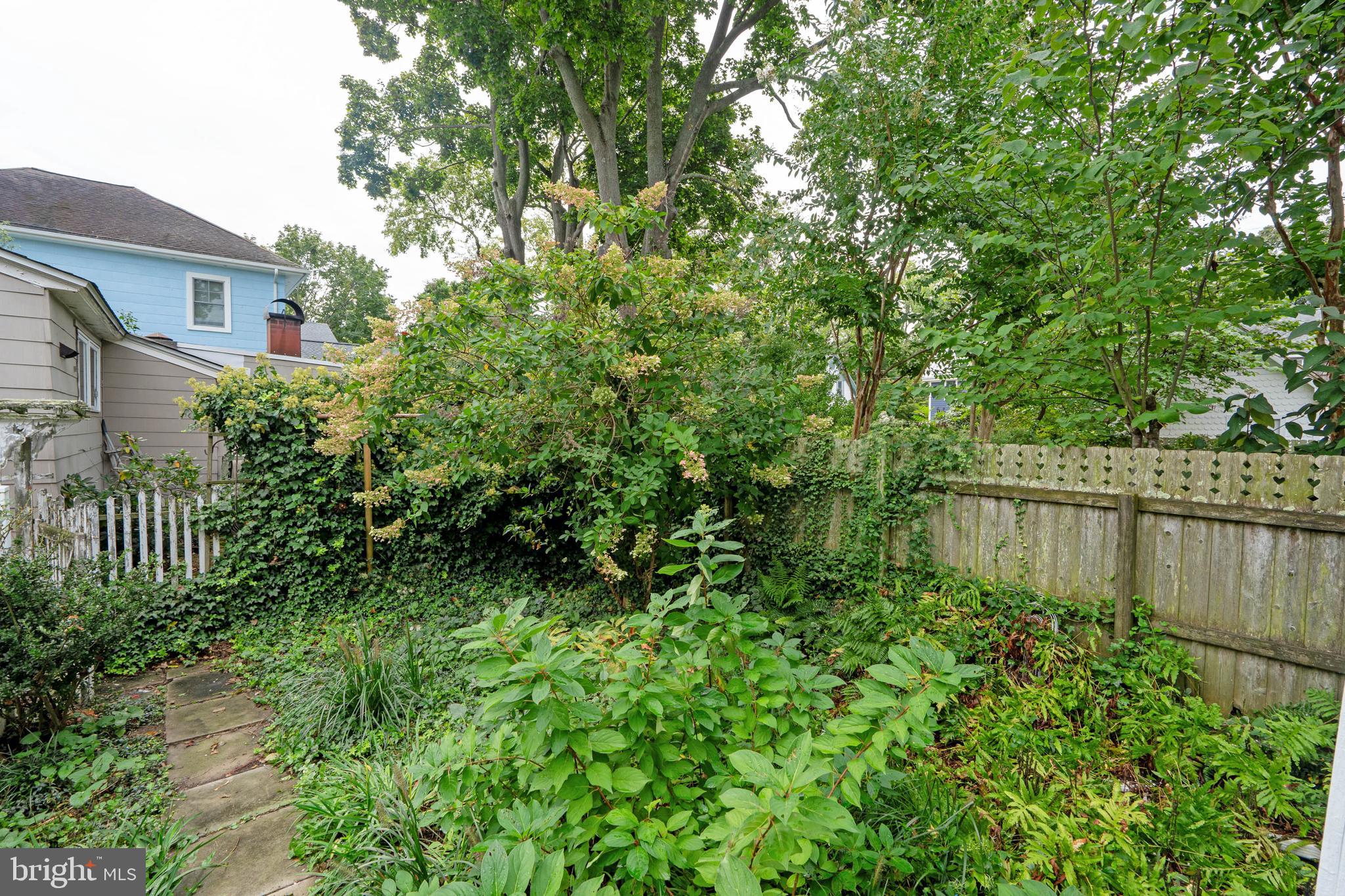 407 Savannah Road Lewes, DE 19958 - Photo 22 of 28 a view of a house with a lush green forest
