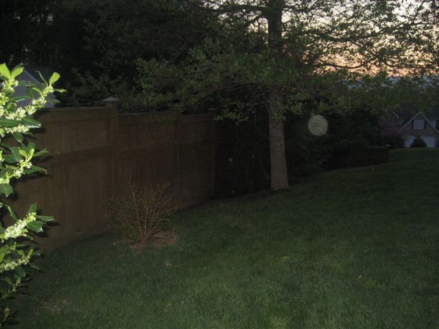 1911 Springmill Road Salem, VA 24153 - Photo 11 of 70 Back Yard