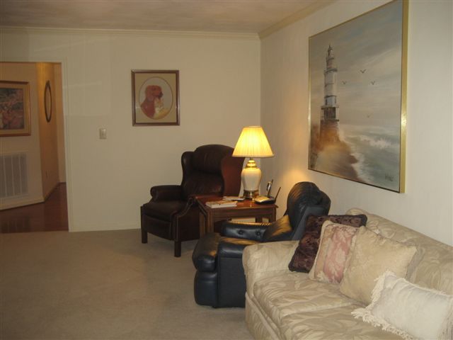 1911 Springmill Road Salem, VA 24153 - Photo 31 of 70 Great Room