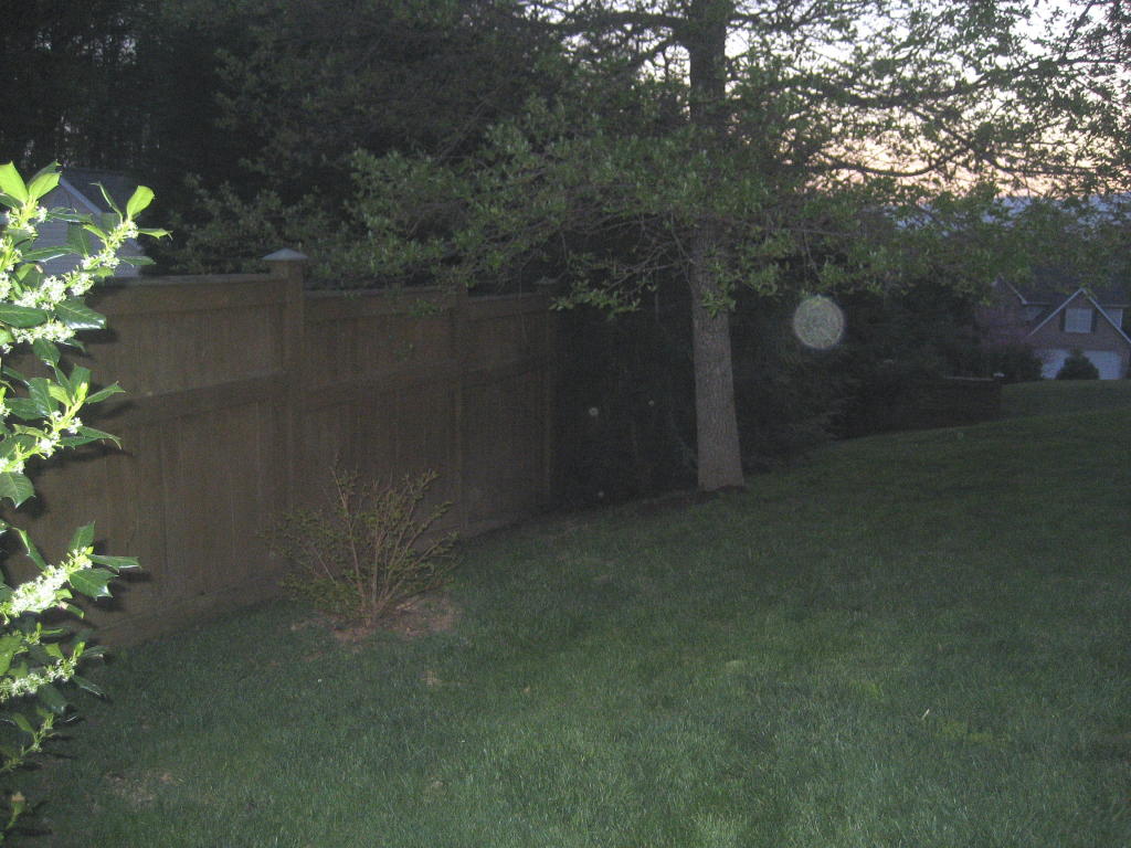 1911 Springmill Road Salem, VA 24153 - Photo 35 of 70 Backyard w/Privacy Fence