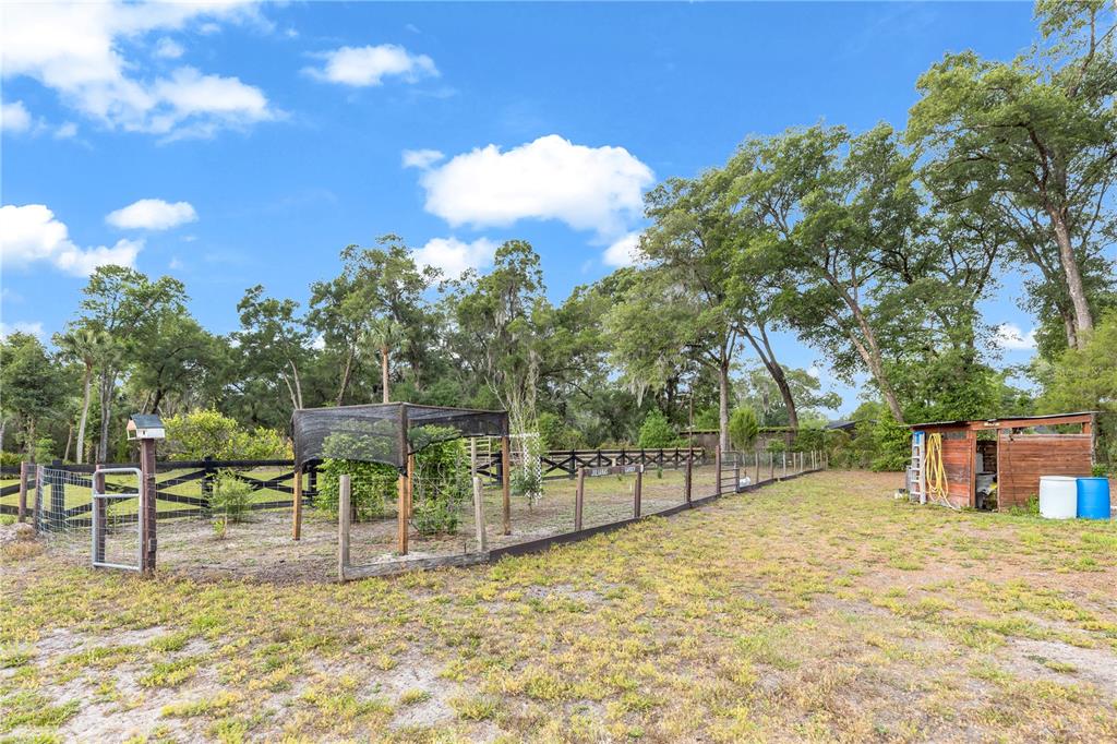721 McGregor Road DeLand, FL 32720 - Photo 48 of 53