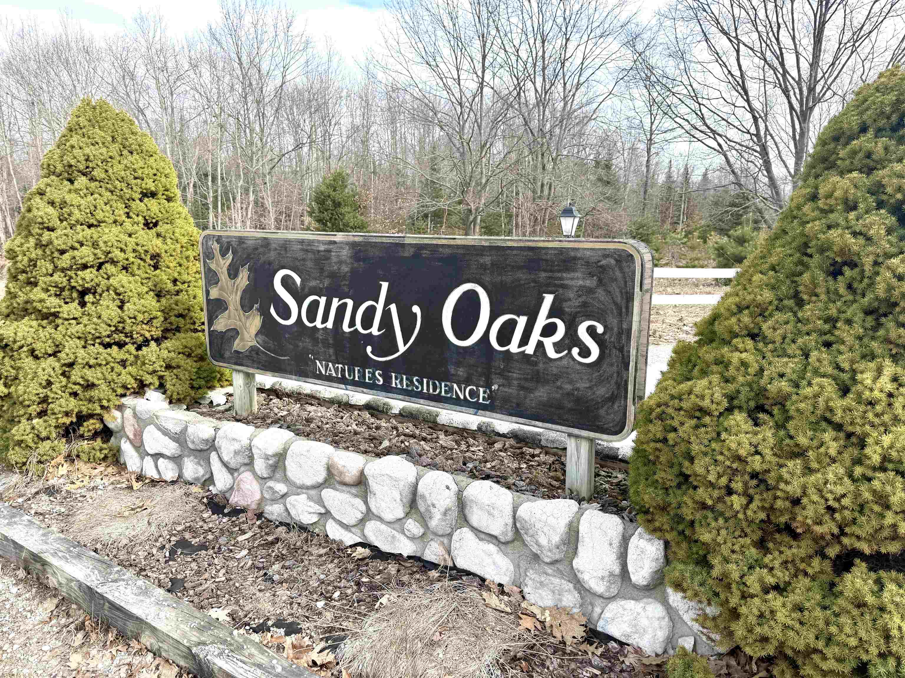 0 East Sandy Lane Cedar, MI 49621 - Photo 7 of 20