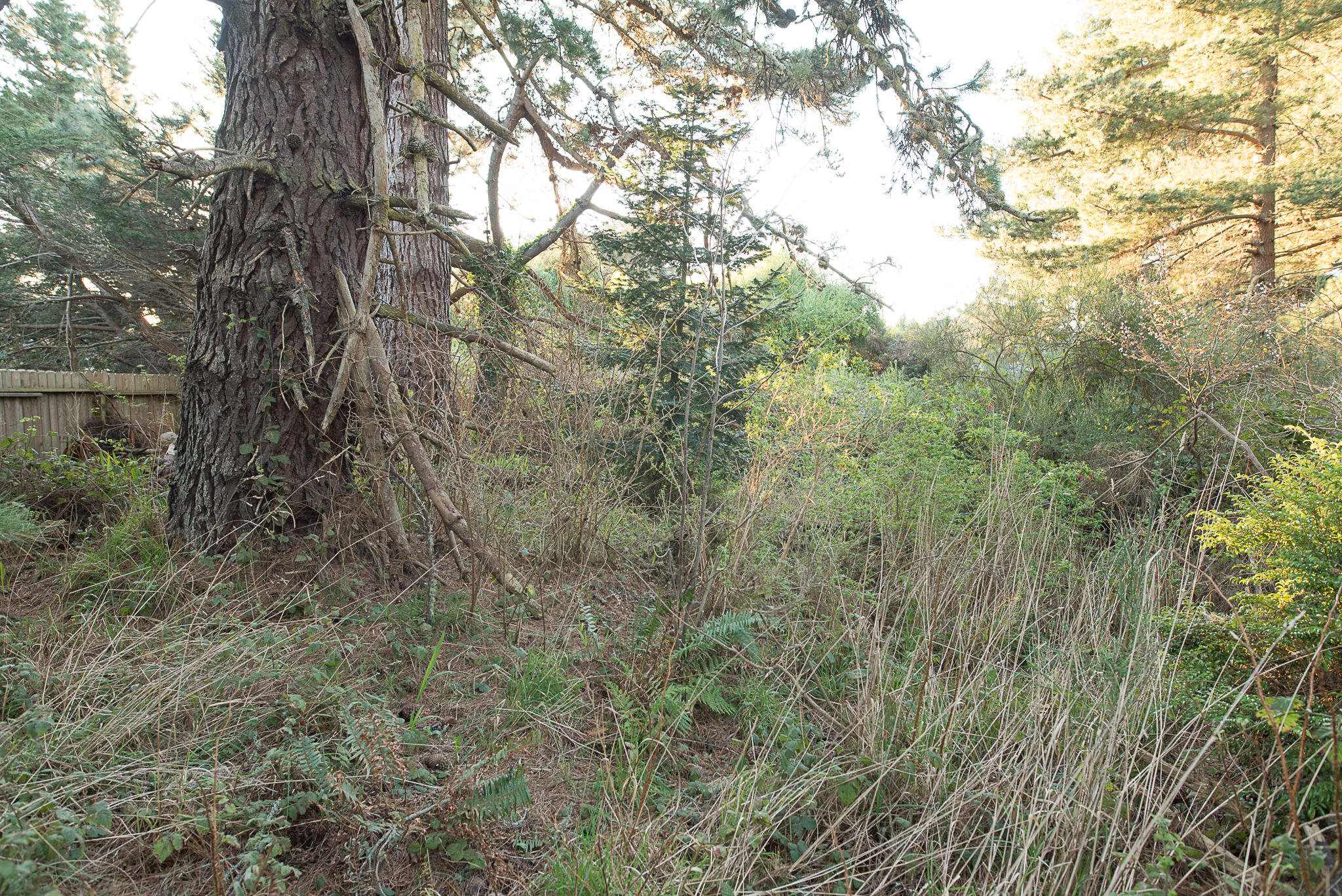 7156 Humboldt Hill Road Eureka, CA 95503 - Photo 24 of 31
