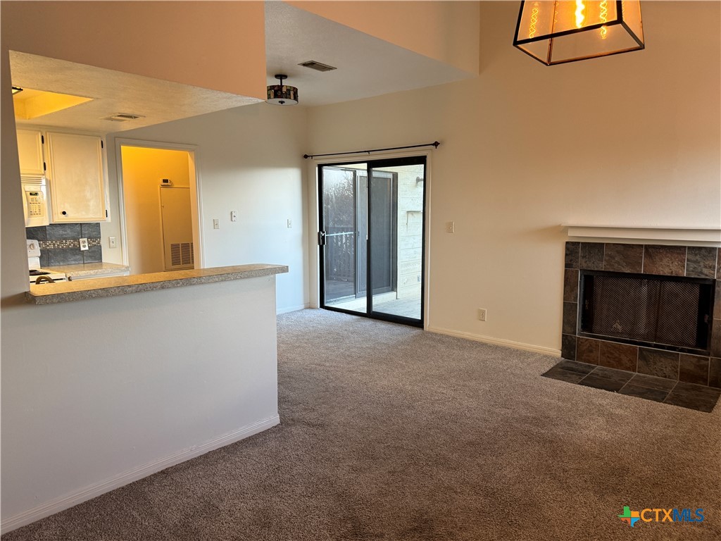 1013 Chestnut Street, Unit D6 San Marcos, TX 78666 - Photo 6 of 13 a view of an empty room with a fireplace and a window