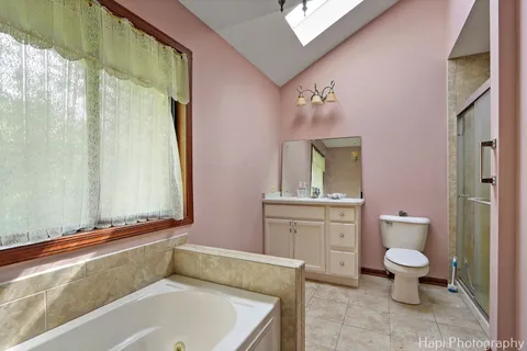 a bathroom with a sink a toilet and a bathtub