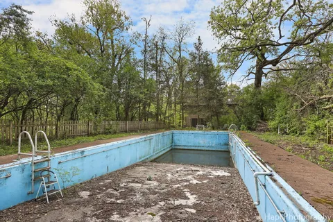a view of a forest with large trees