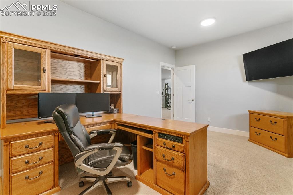 8317 Buckskin Rnch View Peyton, CO 80831 - Photo 32 of 50