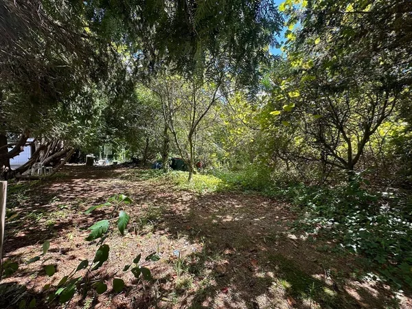 a view of outdoor space with trees