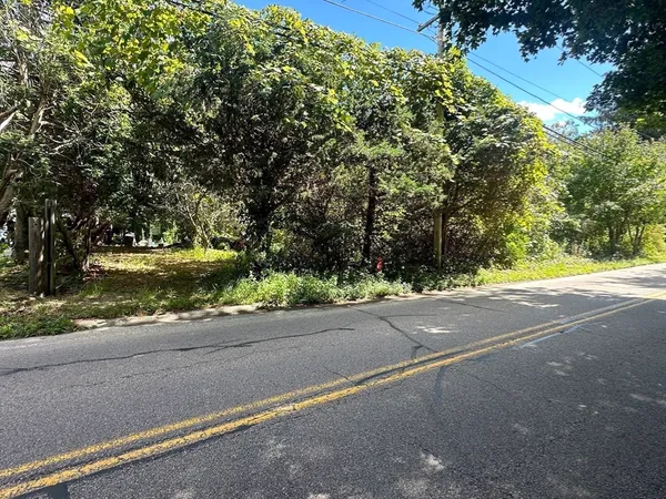 a view of road with a yard