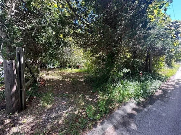 a view of a forest with trees