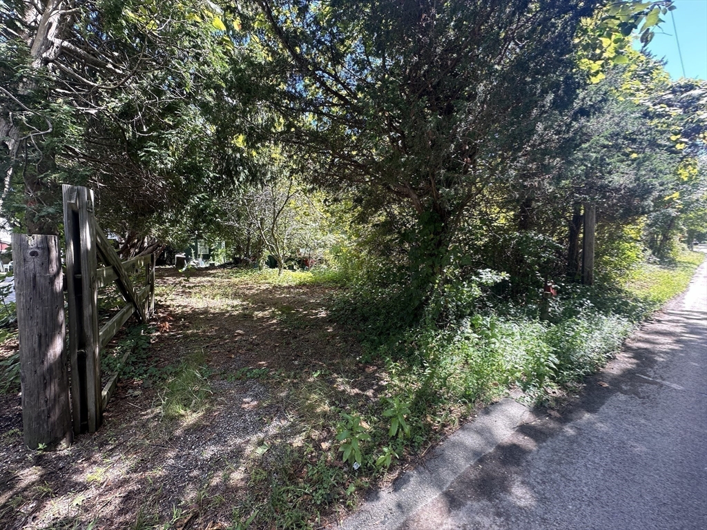 44 Federal Street Blackstone, MA 01504 - Photo 19 of 20 a view of a forest with trees