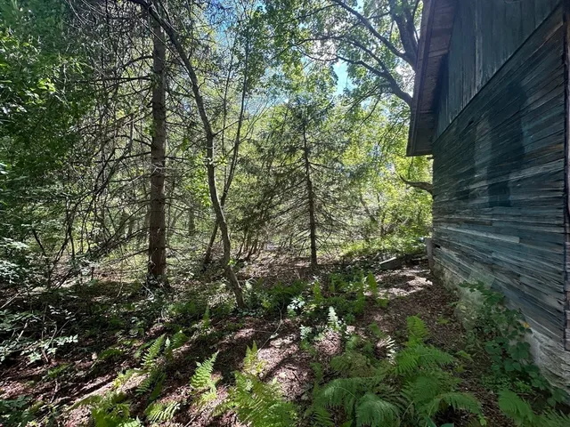 a view of outdoor space with trees