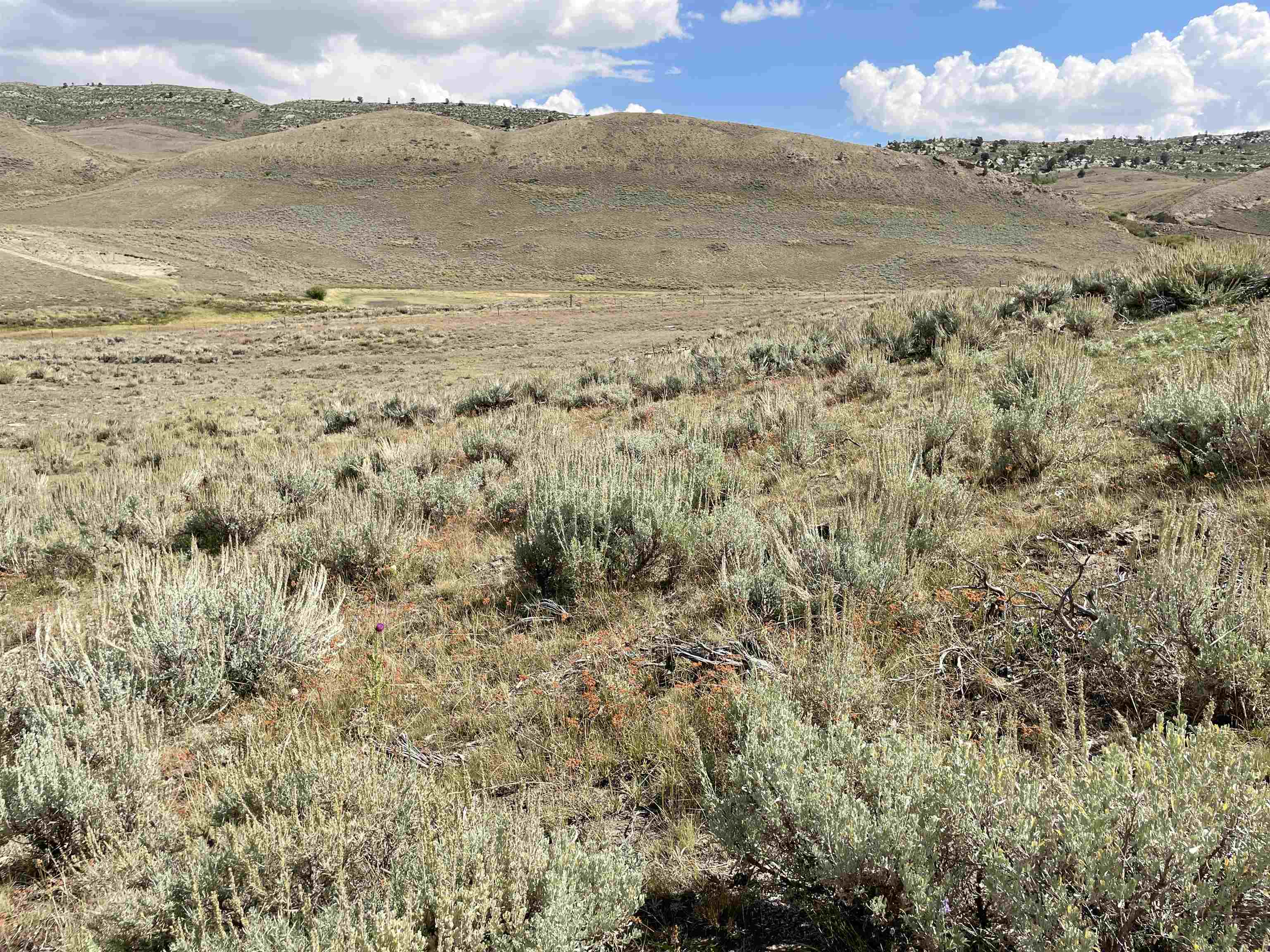 Lot 31 Lot Kemmerer, WY 83101 - Photo 8 of 16