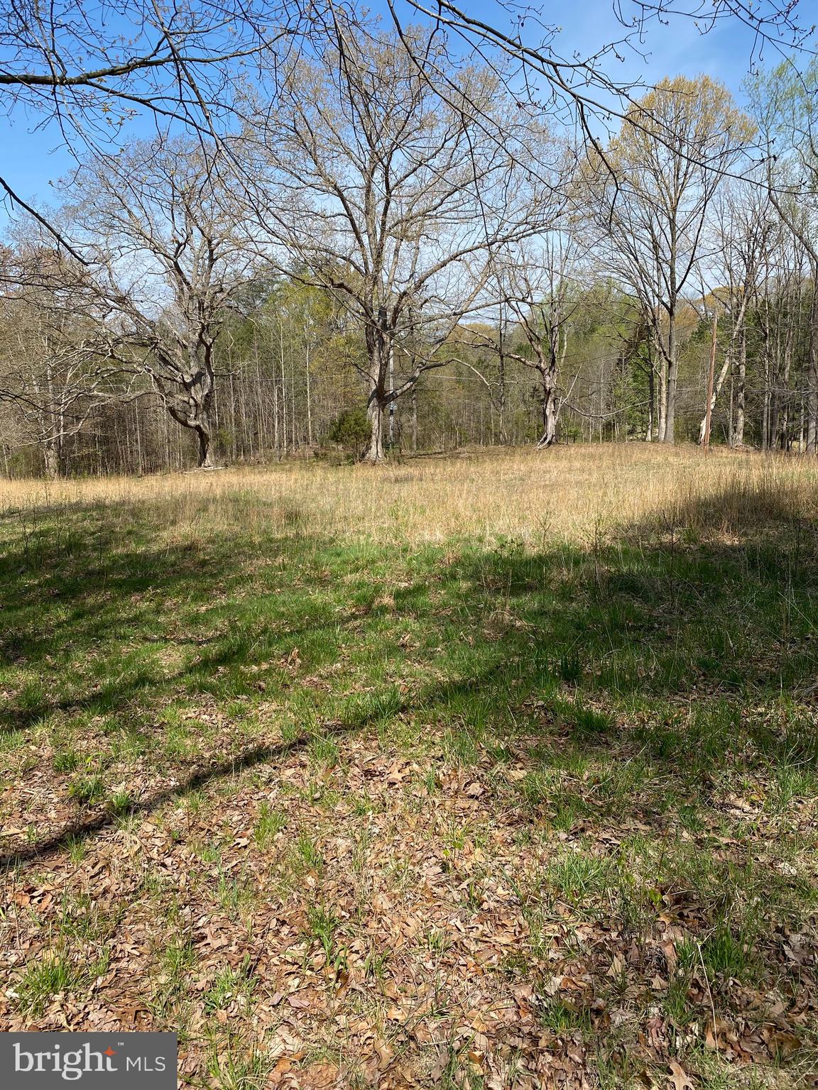 19104 Croom Road Brandywine, MD 20613 - Photo 4 of 4 Gallery Image 4