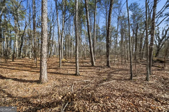 $55,000 | 0 Mulberry Circle, Jasper, GA 30143