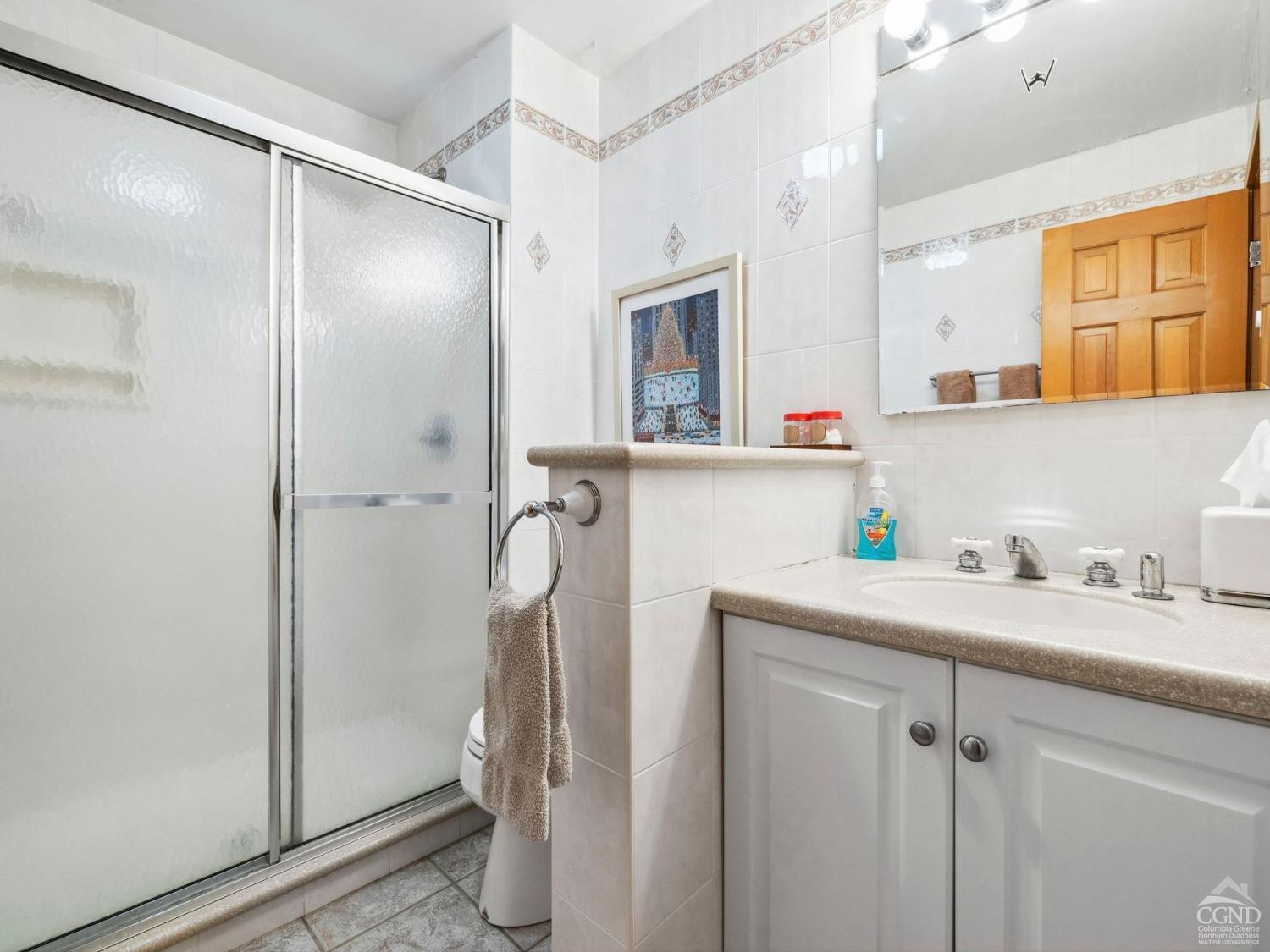 57 Brainard Ridge Road, Unit 3E Windham, NY 12496 - Photo 30 of 55 a bathroom with a sink a toilet and a mirror