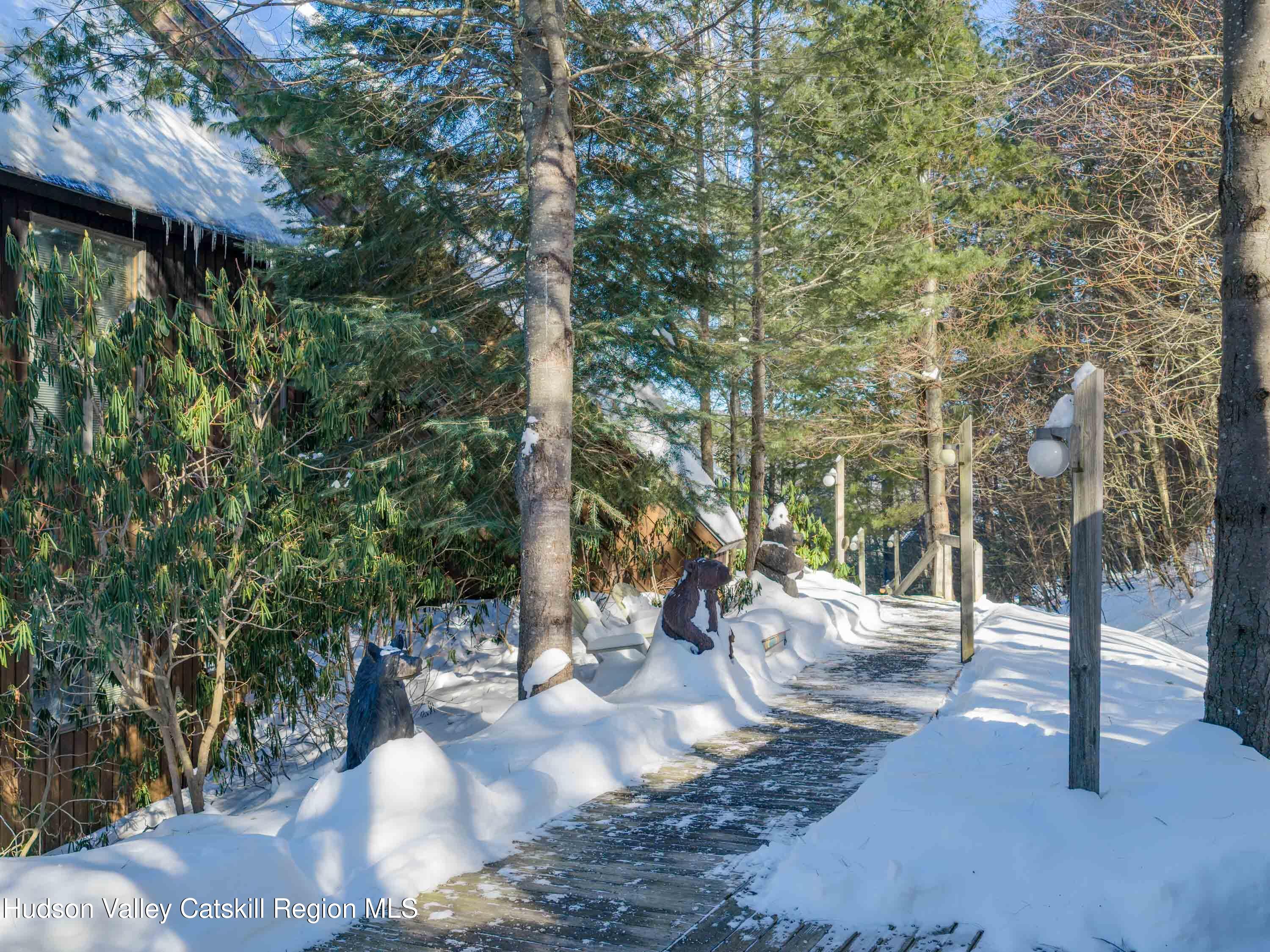57 Brainard Ridge Road, Unit 3E Windham, NY 12496 - Photo 49 of 55 57 Brainard Ridge Road 3E Windham NY 124