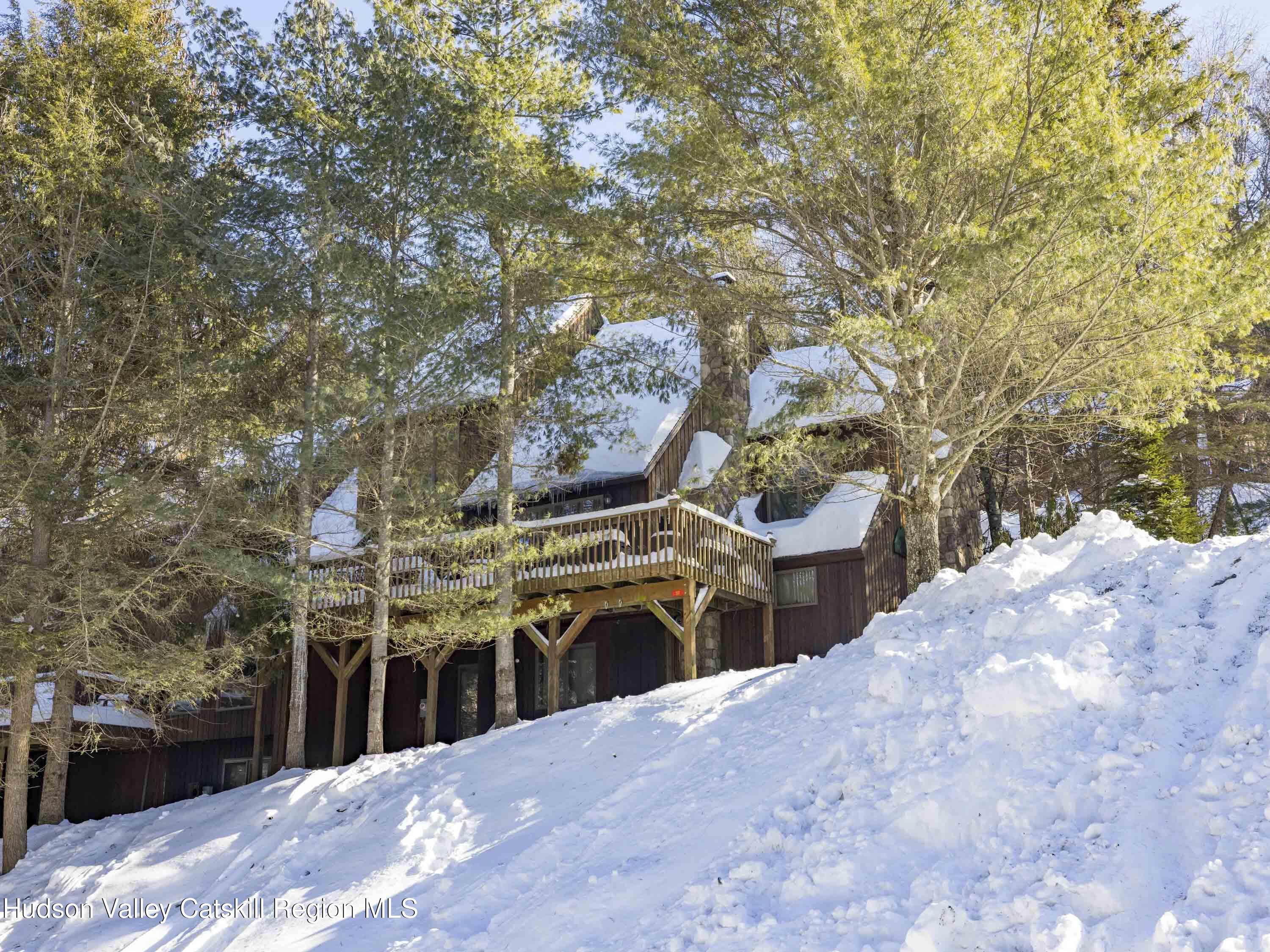 57 Brainard Ridge Road, Unit 3E Windham, NY 12496 - Photo 53 of 55 57 Brainard Ridge Road 3E Windham NY 124
