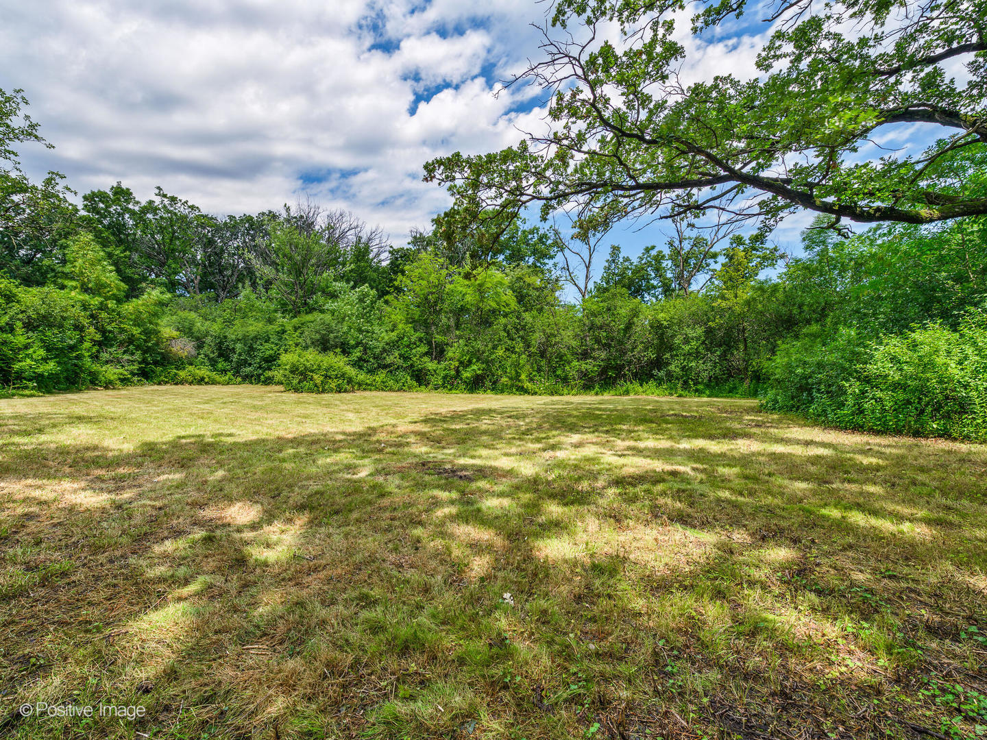 1360 West Everett Road Lake Forest, IL 60045 - Photo 2 of 14 a view of a field with an trees