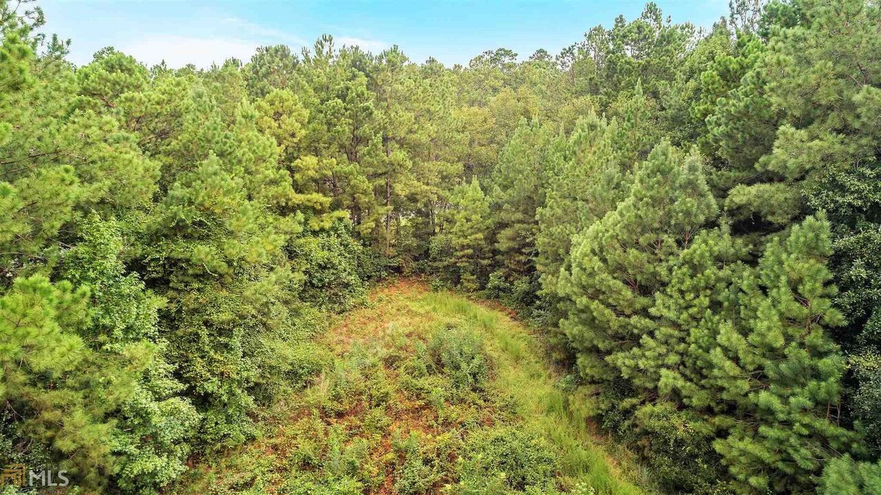 530 Log Landing Road, Unit 1 Springfield, GA 31329 - Photo 1 of 1