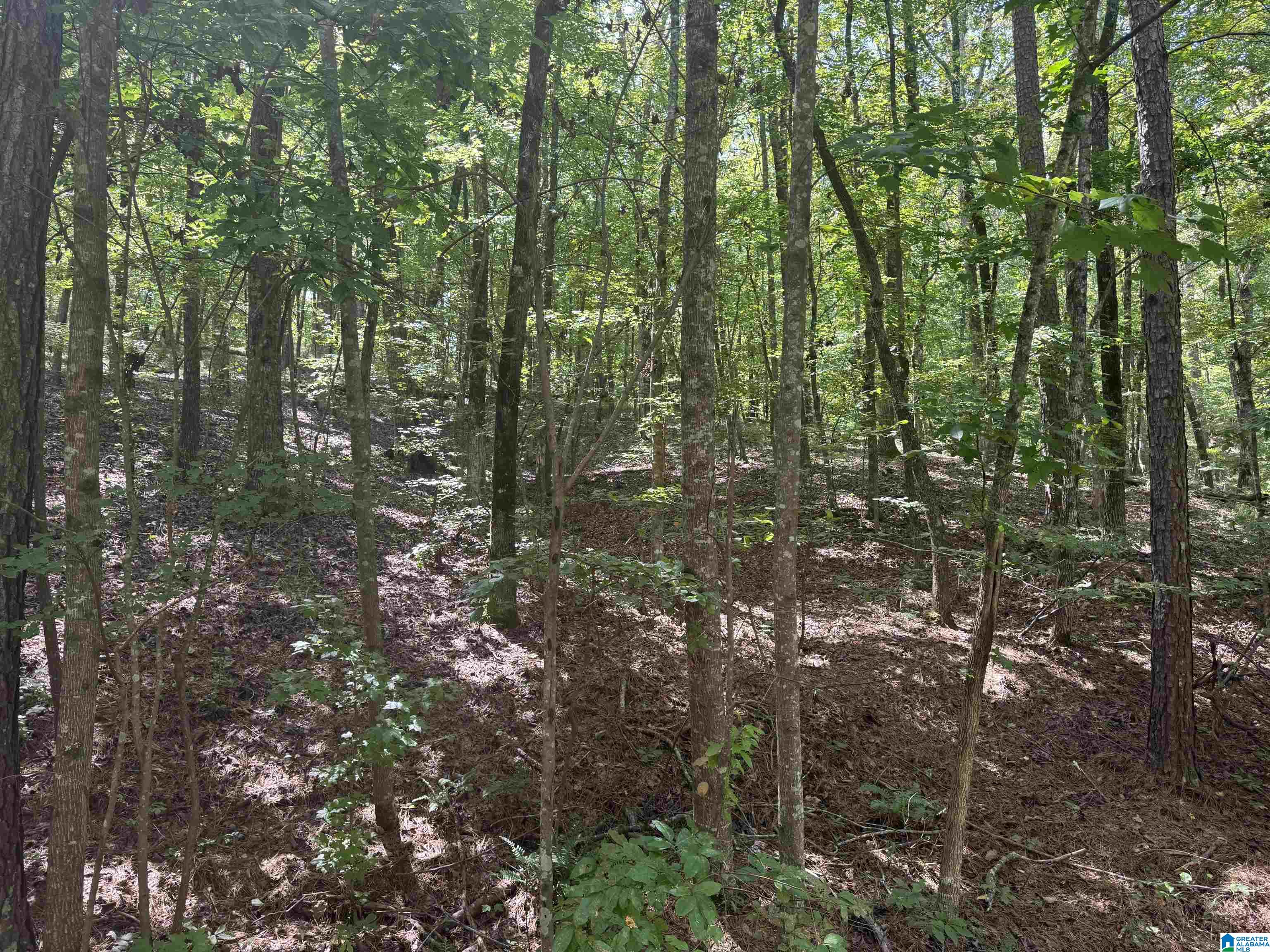 85 Mohawk Court, Unit 22 Ohatchee, AL 36271 - Photo 26 of 37