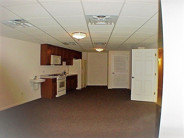 601 West Rand Road, Unit 108 Arlington Heights, IL 60004 - Photo 16 of 17 Gallery Image 16