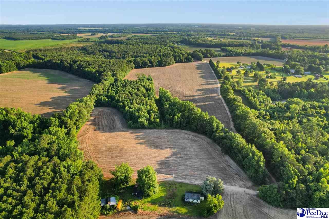 Lot 2-tbd Windham Town Road Lamar, SC 29069 - Photo 10 of 14 Gallery Image 10