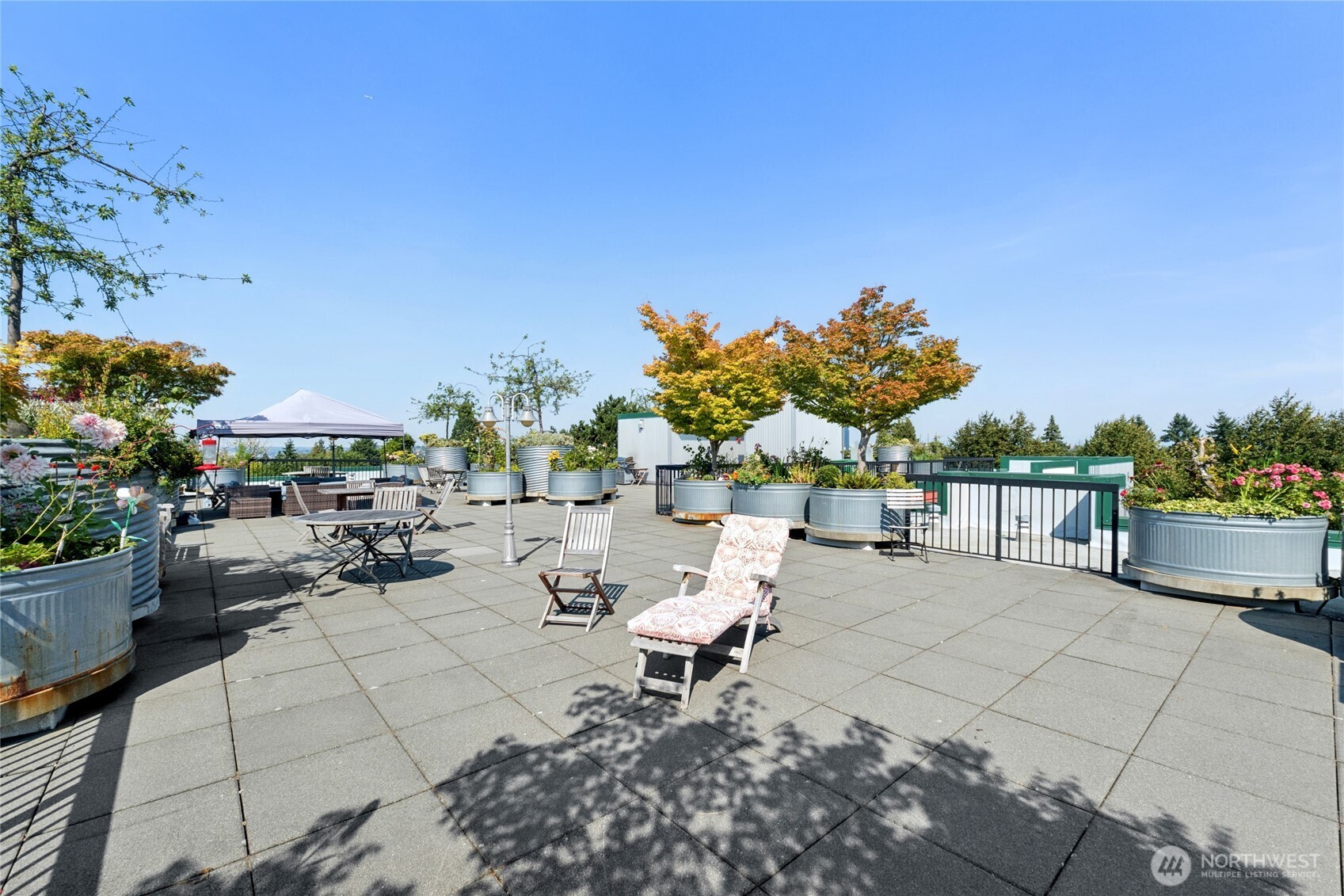 2331 42nd Avenue Southwest, Unit 414 Seattle, WA 98116 - Photo 18 of 23