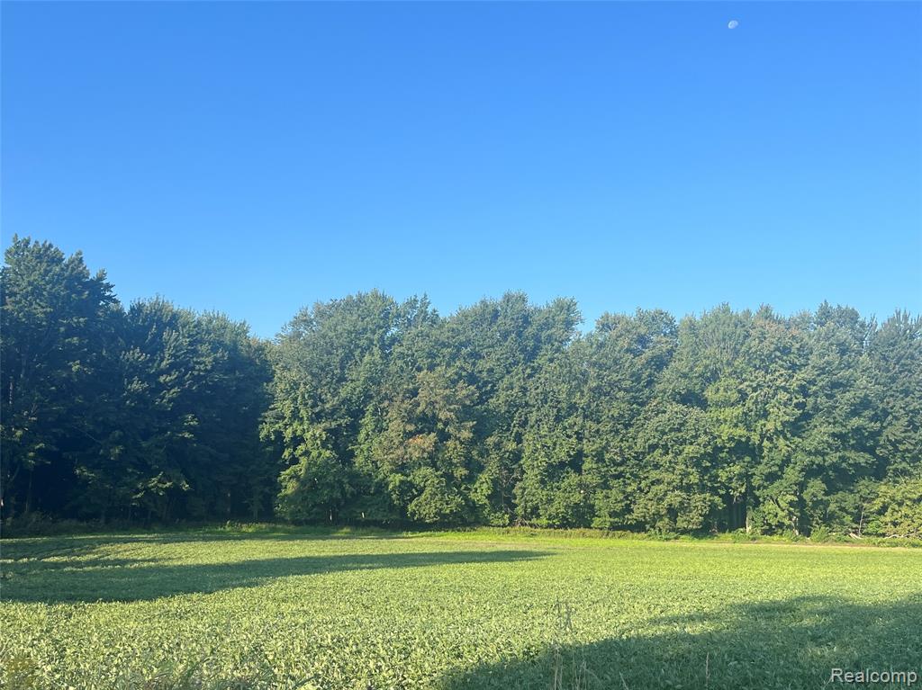 1 Howland Road Almont, MI 48003 - Photo 1 of 11