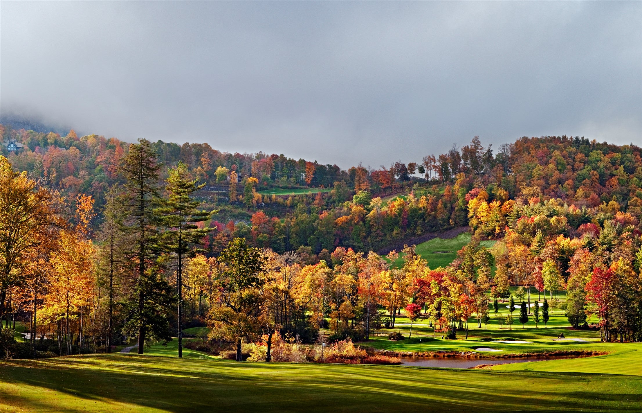 39 Wild Ridge Cashiers, NC 28717 - Photo 59 of 76 Gallery Image 59