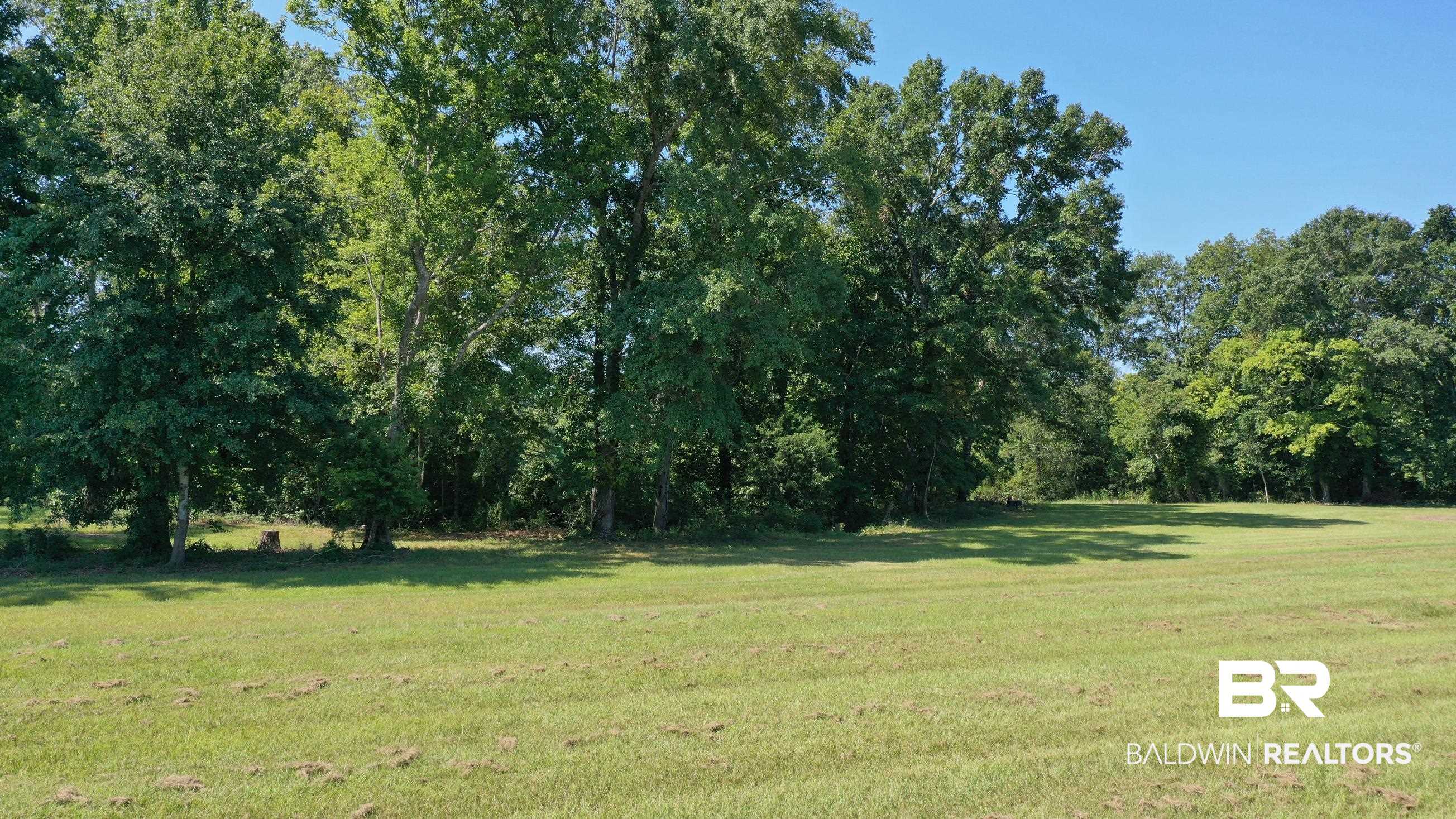 Lot 21 Judge Greene Place Road Greensboro, AL 36744 - Photo 8 of 50