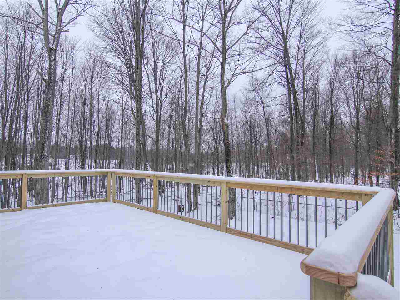 8611 Arner Road Benzonia, MI 49616 - Photo 36 of 37 1870483-35.JPG