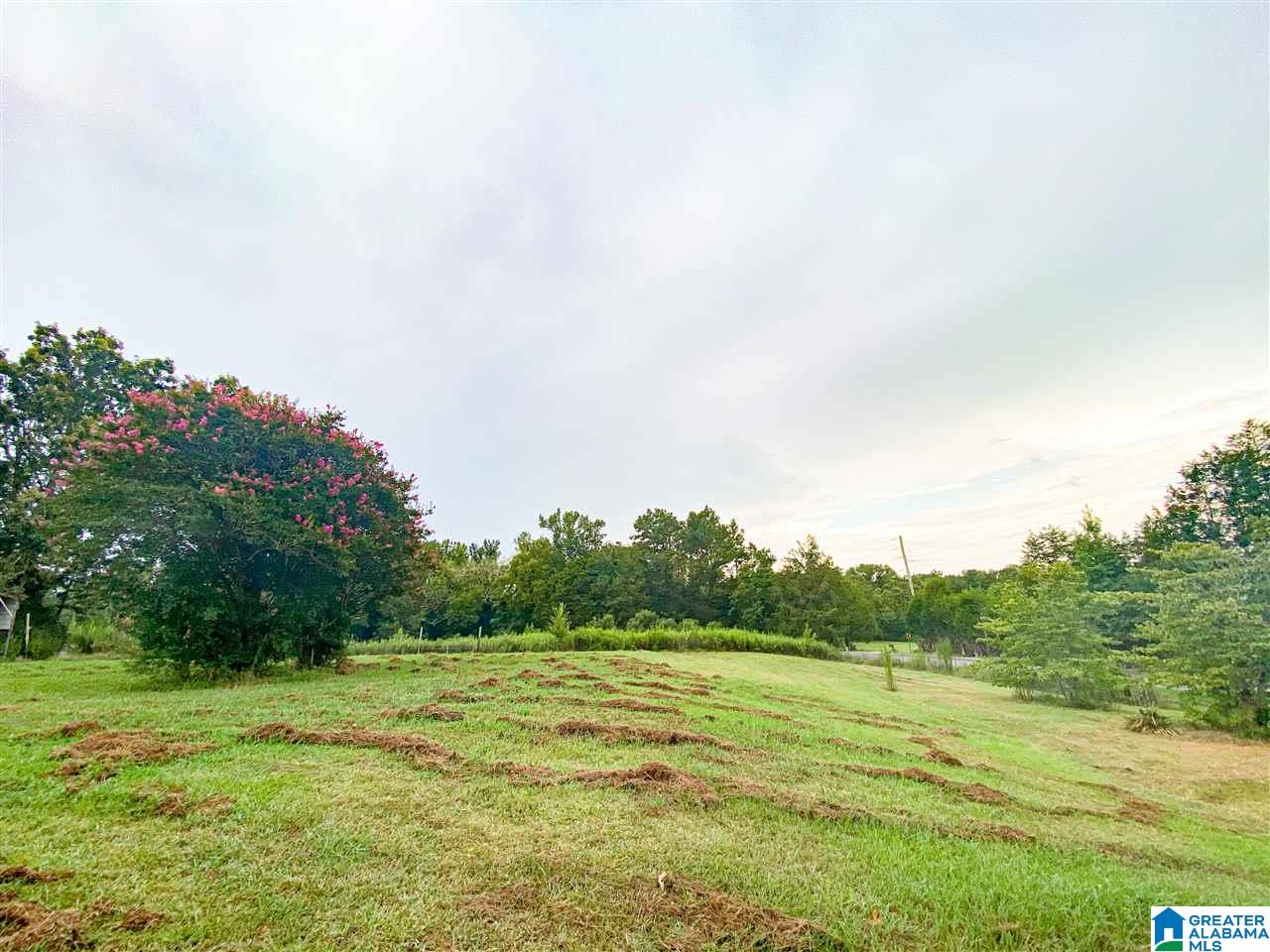 2273 Mitchellville Road Ohatchee, AL 36271 - Photo 35 of 35