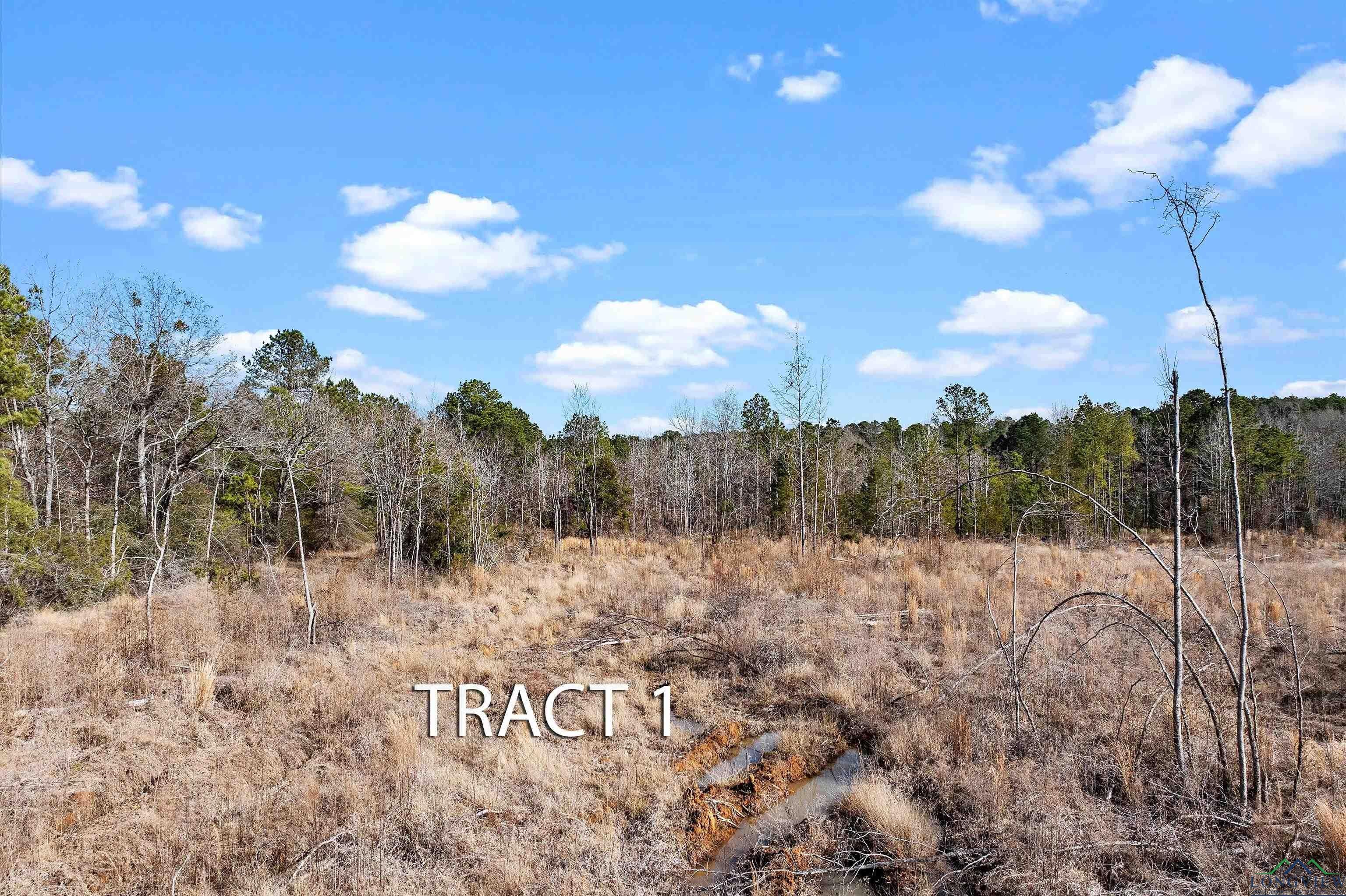 Tbd Baker Bridge Road Marshall, TX 75670 - Photo 7 of 10 Gallery Image 7