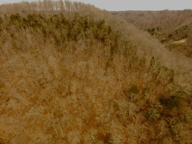 31 Colepin Ridge Road Celina, TN 38551 - Photo 23 of 28 Gallery Image 23