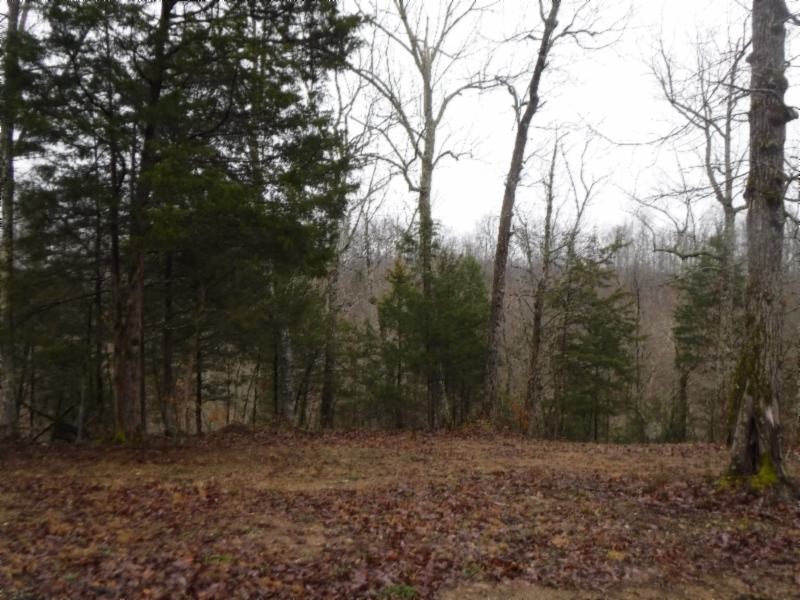 31 Colepin Ridge Road Celina, TN 38551 - Photo 10 of 28 Gallery Image 10