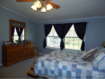 10550 Schuline Road Sparta, IL 62286 - Photo 13 of 24