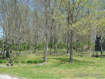 10550 Schuline Road Sparta, IL 62286 - Photo 19 of 24
