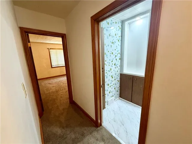 a bathroom with a shower and a sink