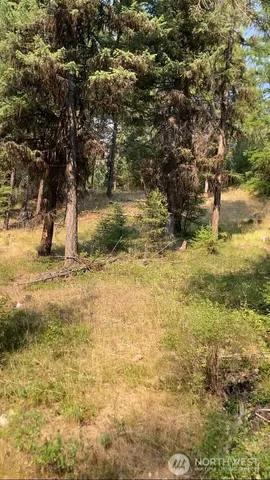 $69,900 | -xxx Turner Lake Road North, Tonasket, WA 98855