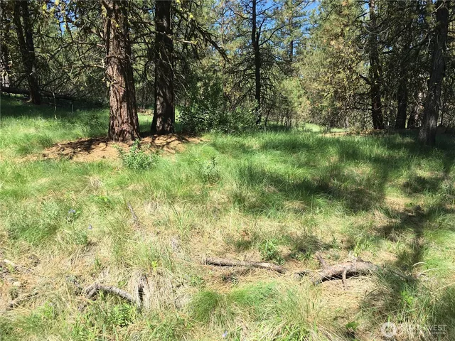 $69,900 | -xxx Turner Lake Road North, Tonasket, WA 98855